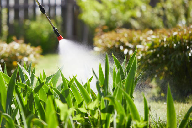 24/7 Emergency Fumigation Services experts in Dardenne Prairie, MO